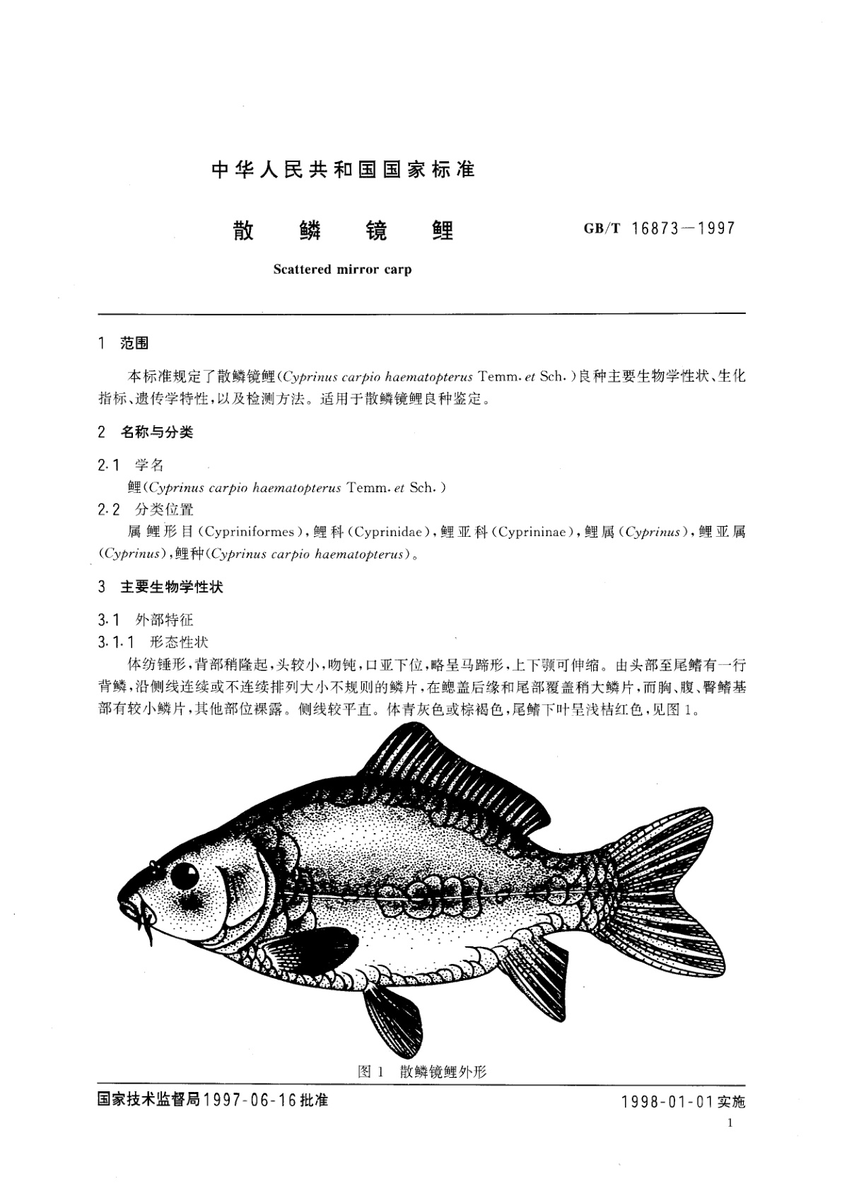 GB/T 16873-1997 散鳞镜鲤