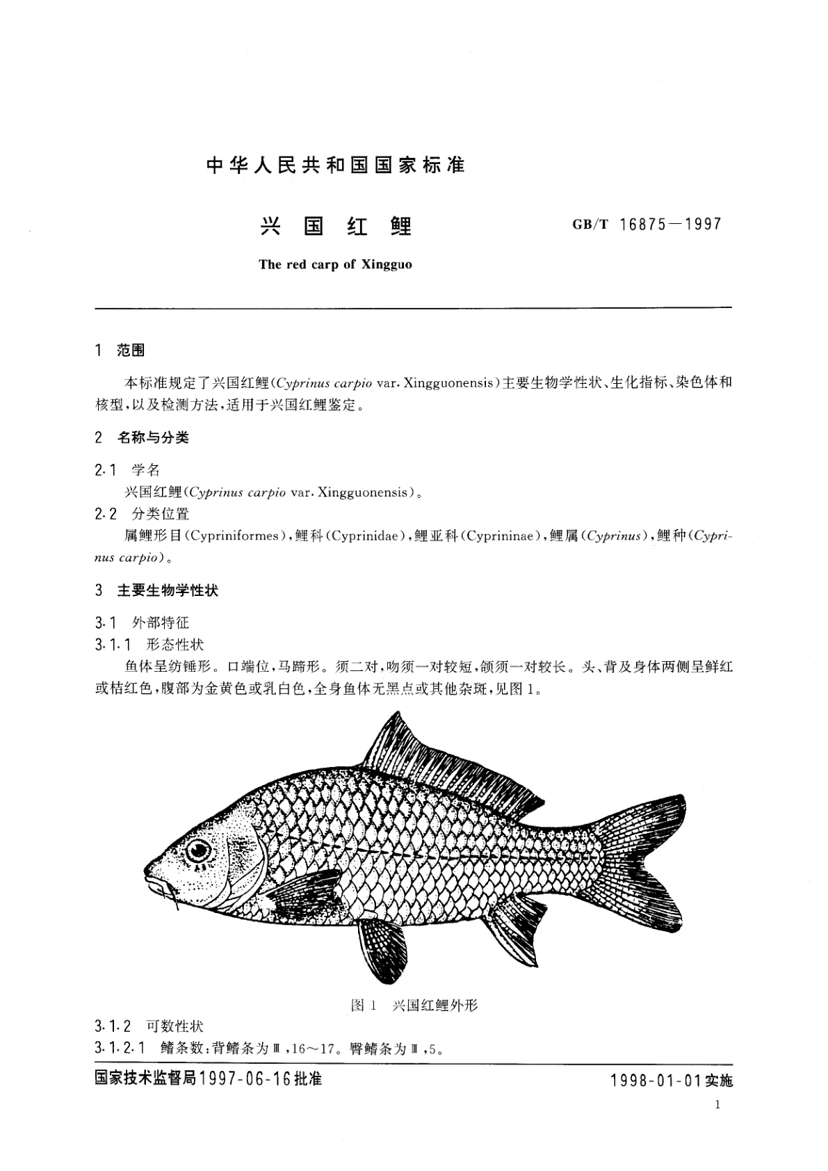 GB/T 16875-1997 兴国红鲤