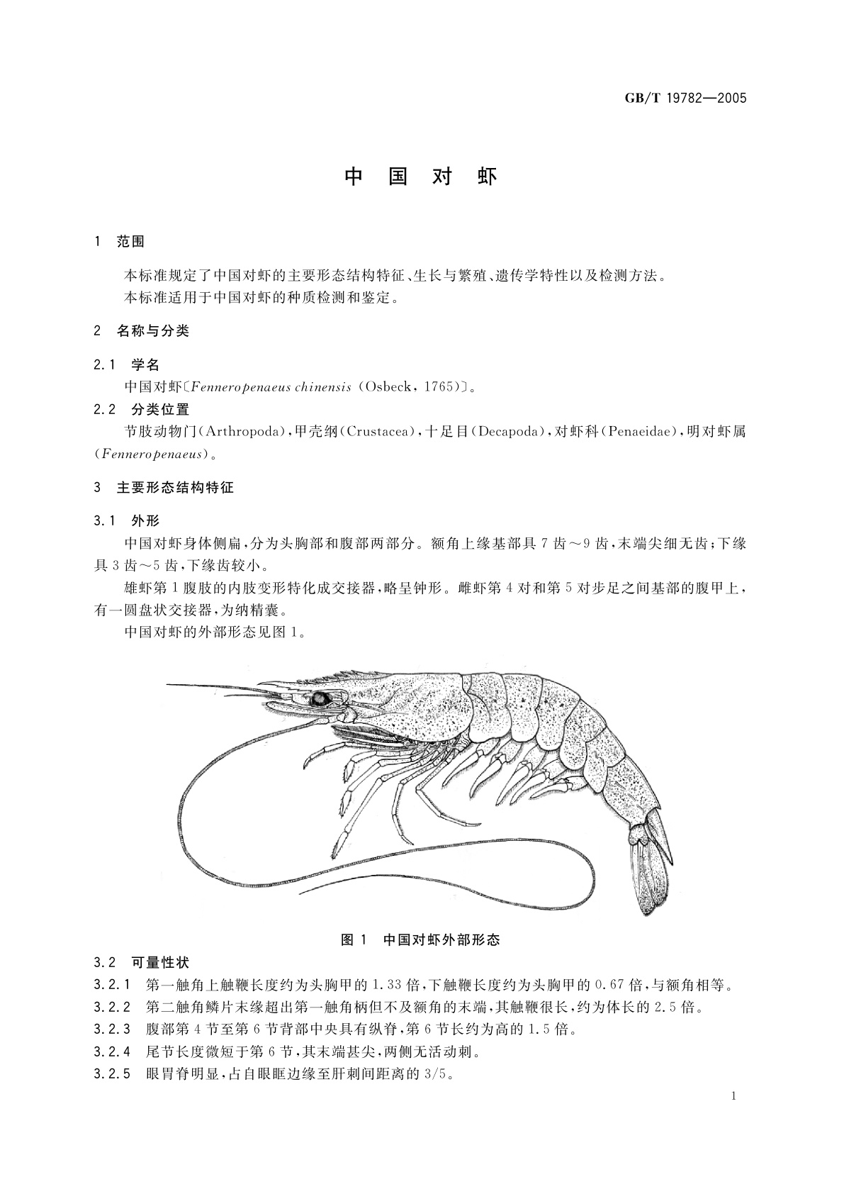 GB/T 19782-2005 中国对虾