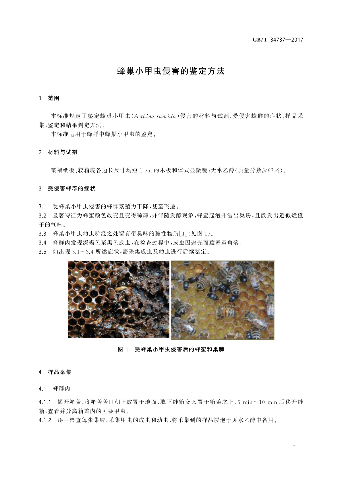 GB/T 34737-2017 蜂巢小甲虫侵害的鉴定方法