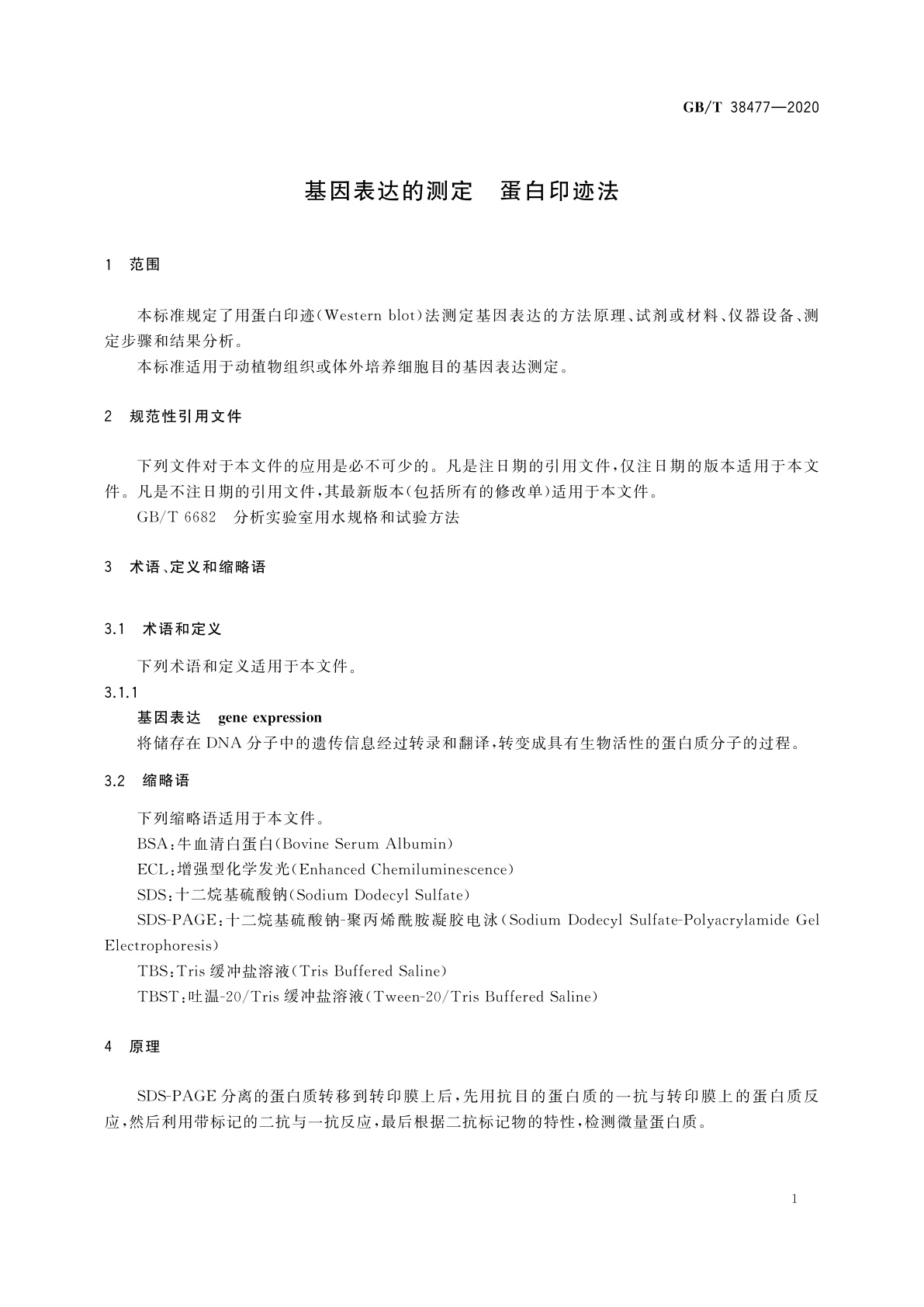 GB/T 38477-2020 基因表达的测定　蛋白印迹法