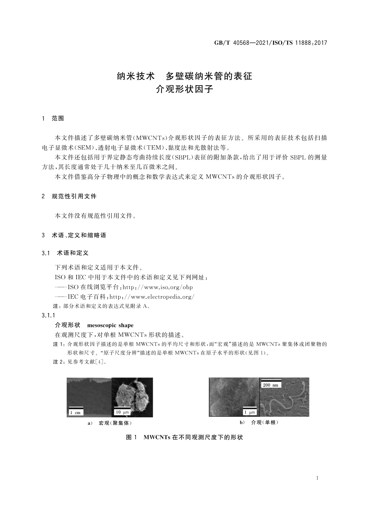 GB/T 40568-2021 纳米技术　多壁碳纳米管的表征　介观形状因子