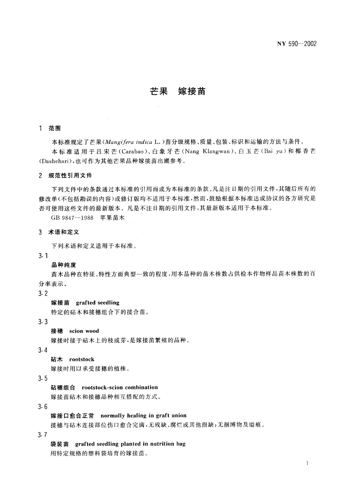 NY 590-2002 芒果　嫁接苗