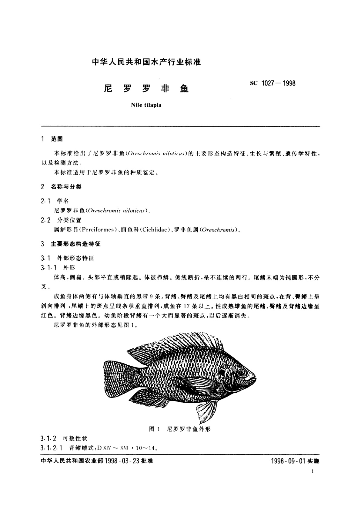 SC 1027-1998 尼罗罗非鱼