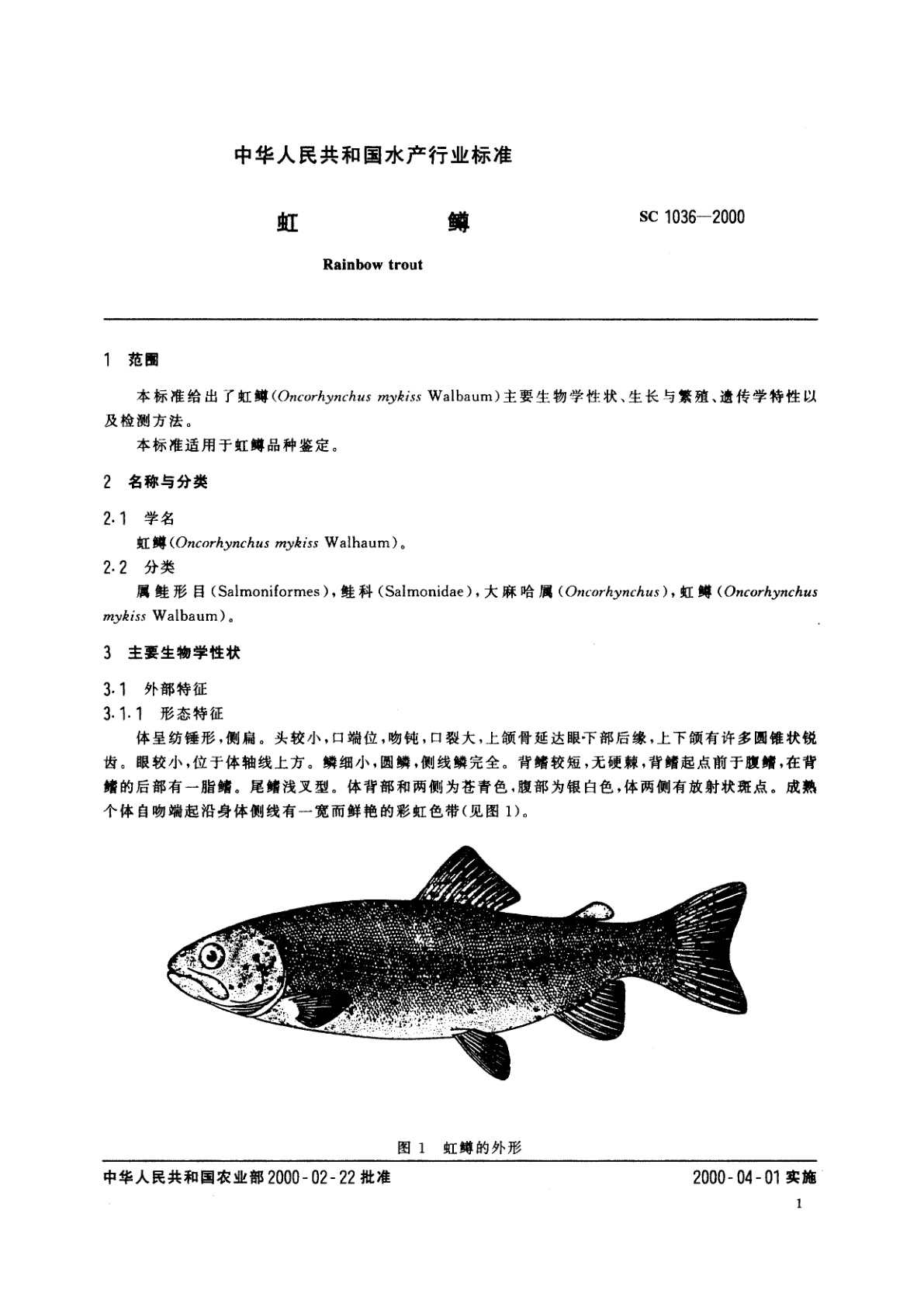SC 1036-2000 虹鳟